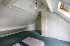 Foto Wespendief 4 Tollebeek 47.jpg